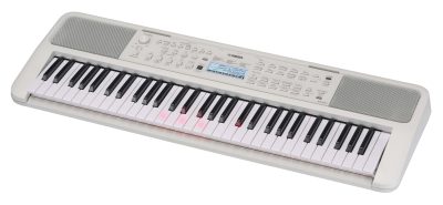 EZ310