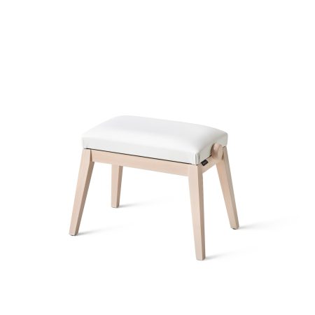 BG-50 VINYL Piano Bench WE