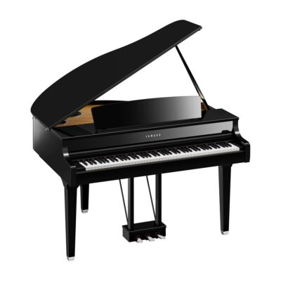 CLP895GP